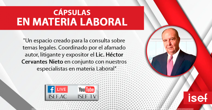 Cápsulas Laborales